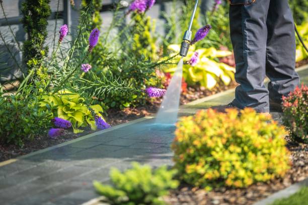 Best Fence Cleaning  in Peach Lake, NY